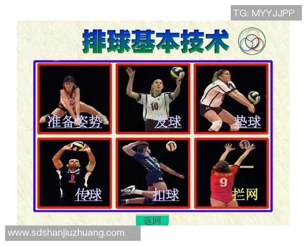 杭州排球队战术解析与竞技策略的深度探讨