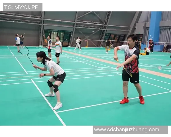 羽毛球纪实：南京羽毛球队奋勇拼搏的辉煌成长之路